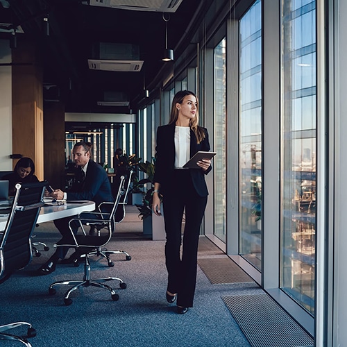 professional and consulting services