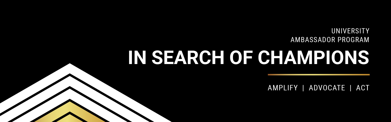 Univeristy Ambassador Program: In Search of Champions